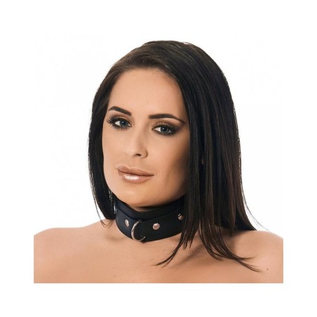 Leather Collar with Studs and D Ring