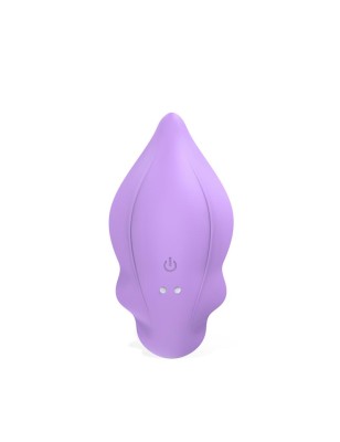 Donnyel Panty Vibrator with G Spot Ball and Remote Control