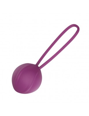 Leigh Kegel Ball Silicone Purple